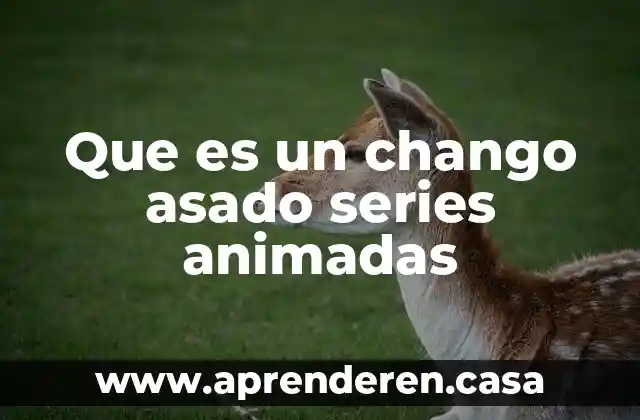 Que es un chango asado series animadas