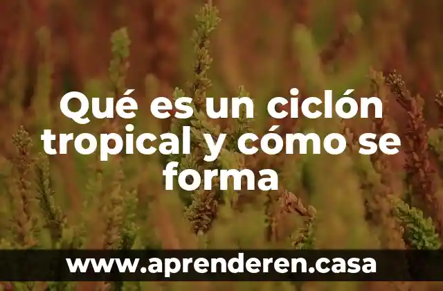 Qué es un ciclón tropical y cómo se forma