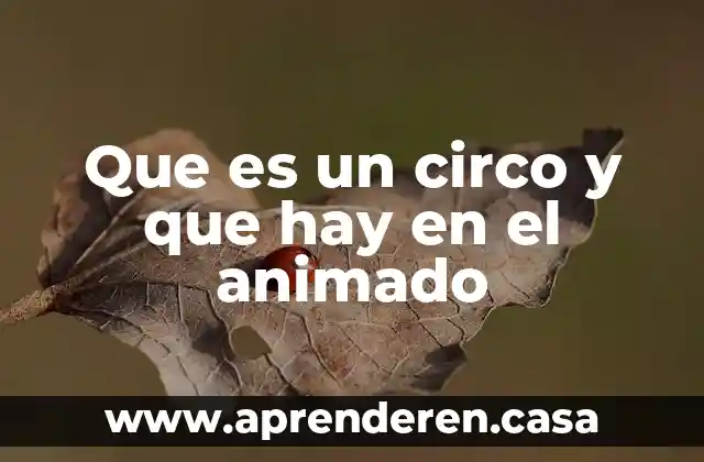 Que es un circo y que hay en el animado