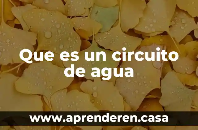 Que es un circuito de agua