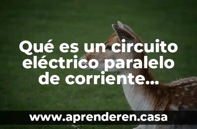 Que es corriente alterna en informatica 8 Qué es un circuito eléctrico paralelo de corriente alterna