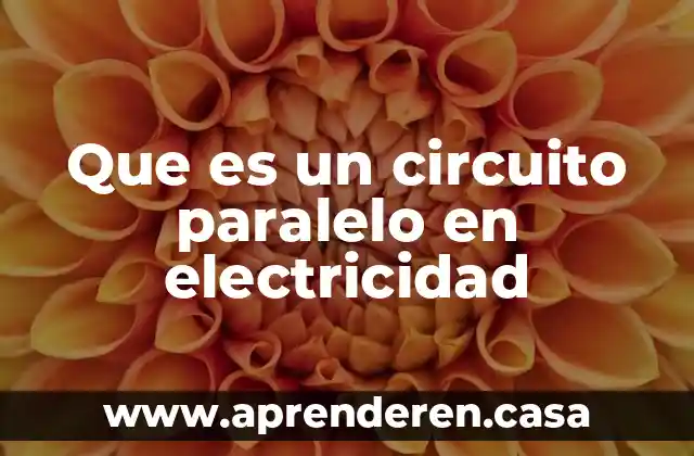 Que es un circuito paralelo en electricidad