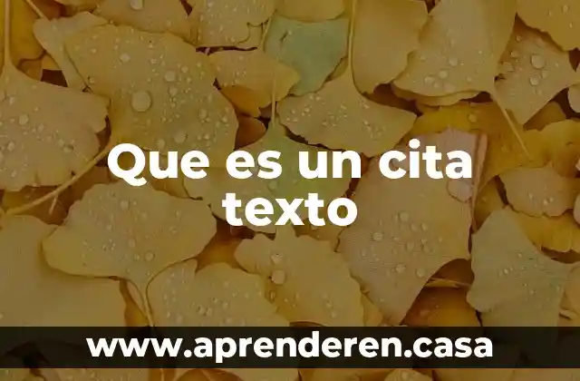 Que es un cita texto