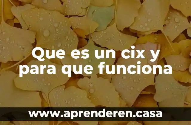 Que es un feudo y como funciona 4 Que es un cix y para que funciona