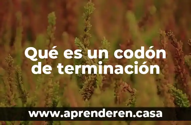 Que es un programa terminacion top abap 6 Qué es un codón de terminación