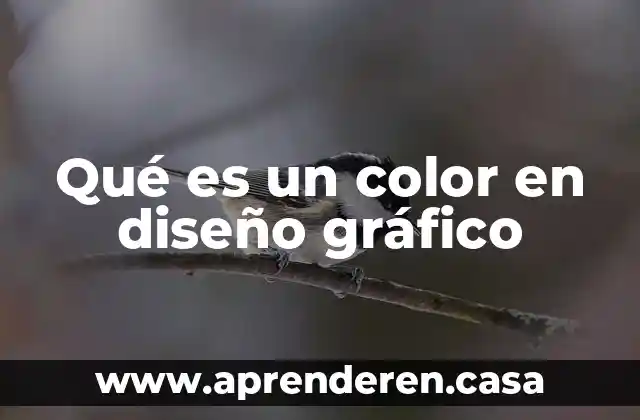 Qué es un color en diseño gráfico