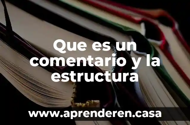 Que es un comentario y la estructura