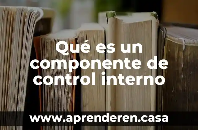 Qué es un componente de control interno