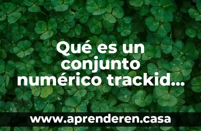 Qué es un conjunto numérico trackid sp-006