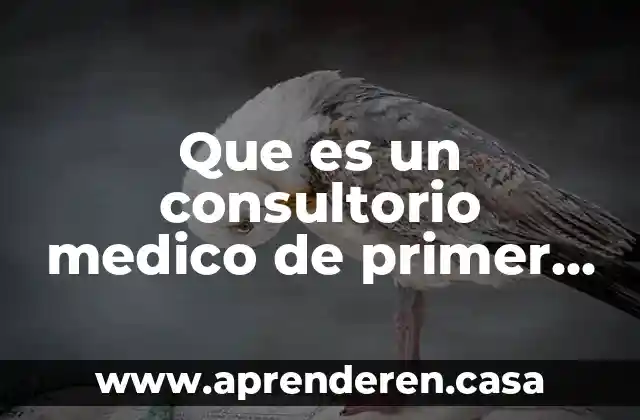 Que es un consultorio medico de primer nivel