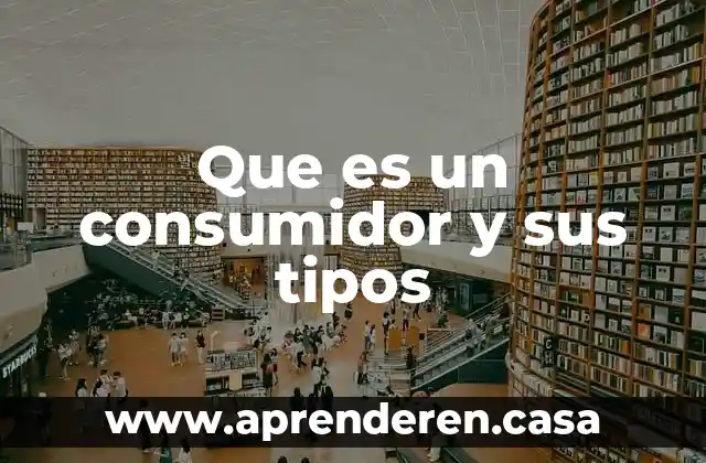 Que es un consumidor y sus tipos