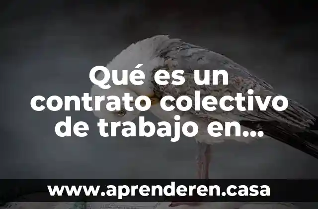 Qué es un contrato colectivo de trabajo en derecho