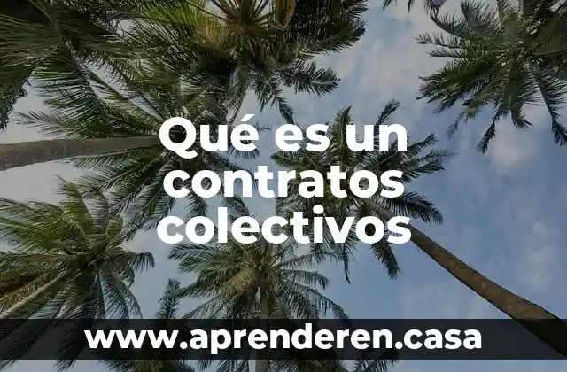 Qué es un contratos colectivos