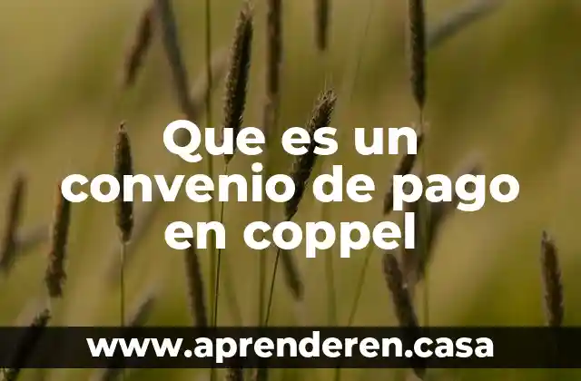 Que es unafactura de pago 3 Que es un convenio de pago en coppel