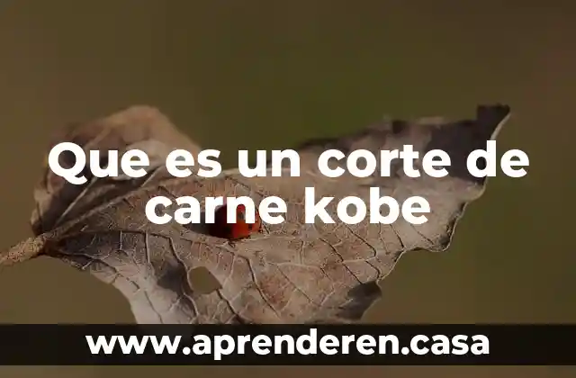 Que es un corte de carne kobe