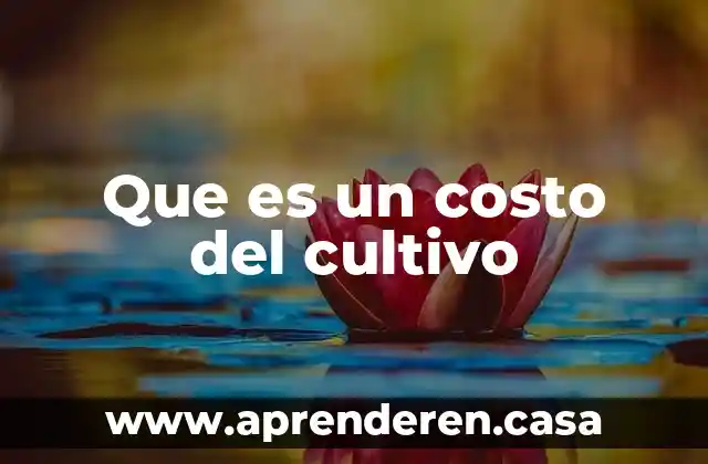 Que es un costo y para que sirve 4 Que es un costo del cultivo