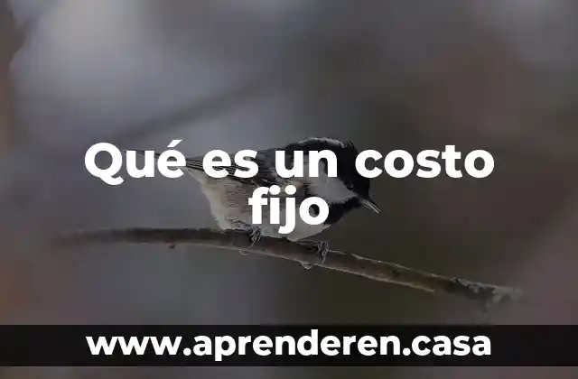Qué es un costo fijo