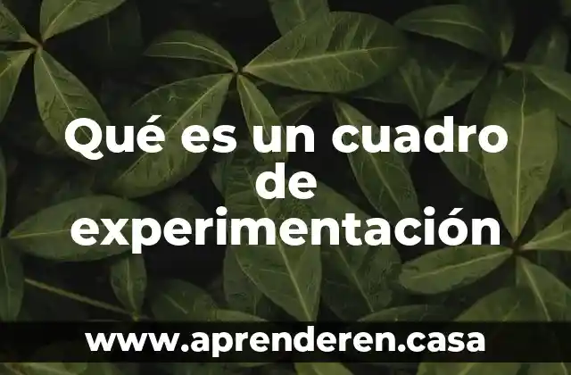 Qué es un cuadro de experimentación