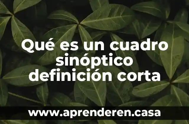 Qué es un cuadro sinóptico definición corta