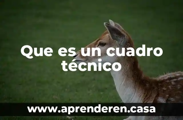 Que es un cuadro técnico