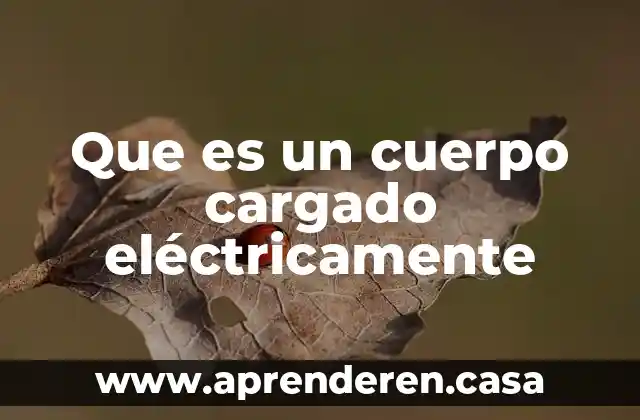Que es un cuerpo cargado eléctricamente