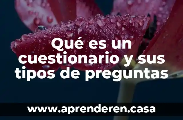 Qué es un cuestionario y sus tipos de preguntas