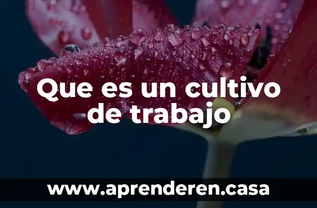 Que es un cultivo de trabajo