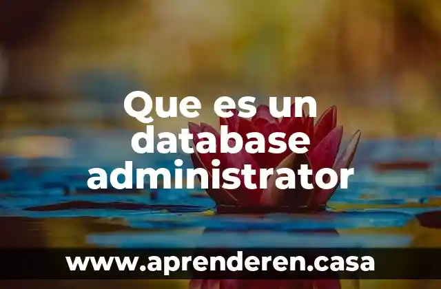 Que es un database administrator