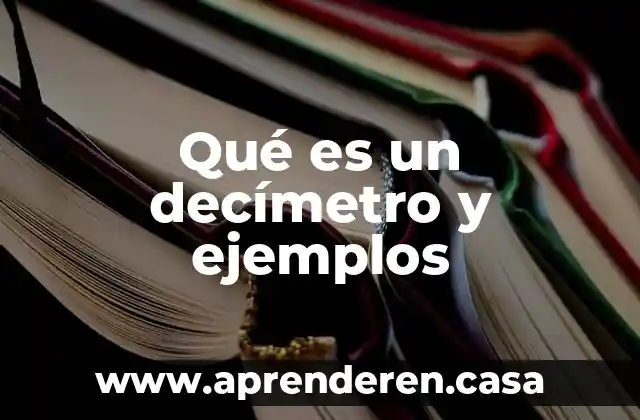 Qué es un decímetro y ejemplos