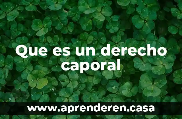 Que es un derecho caporal