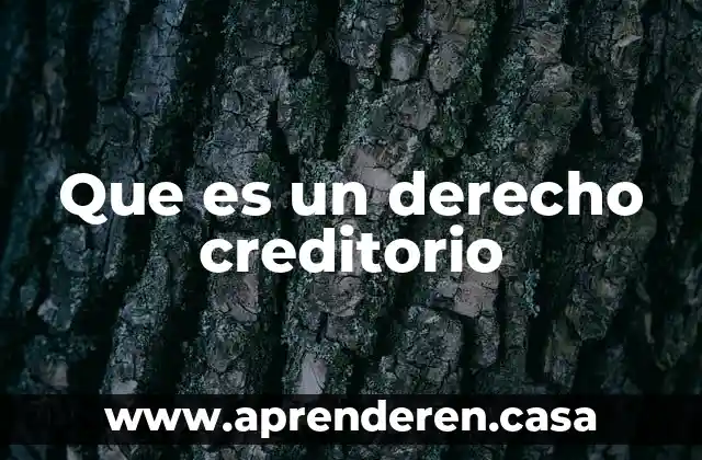 Que es un derecho creditorio