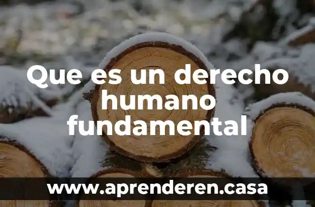 Que es creatividad un rango humano 4 Que es un derecho humano fundamental