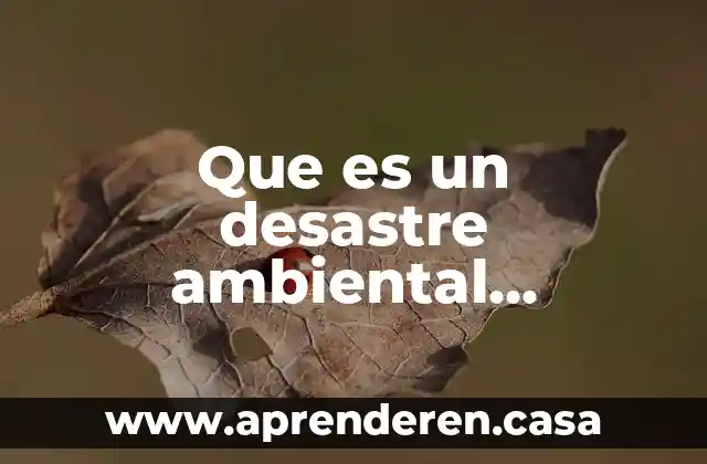 Que es un desastre ambiental definicion