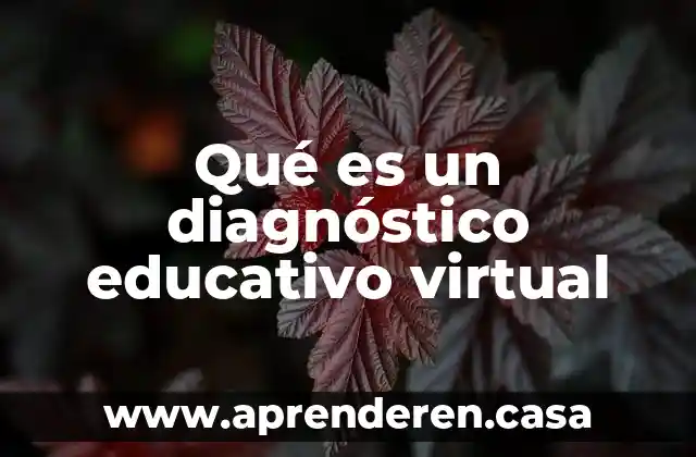 Qué es un diagnóstico educativo virtual