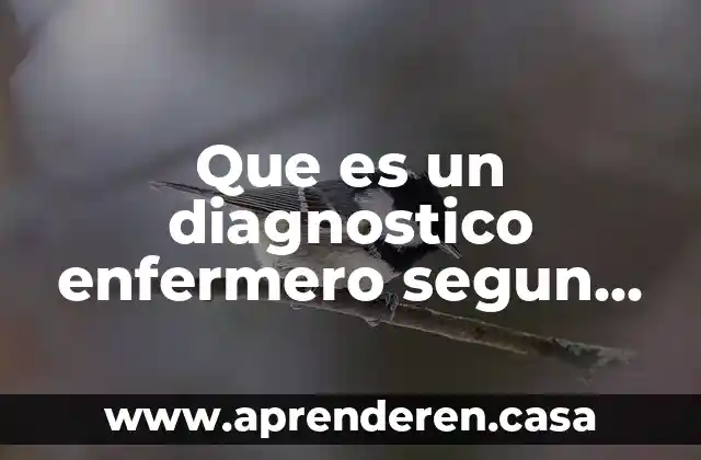 Que es un diagnostico enfermero segun la nanda resumen