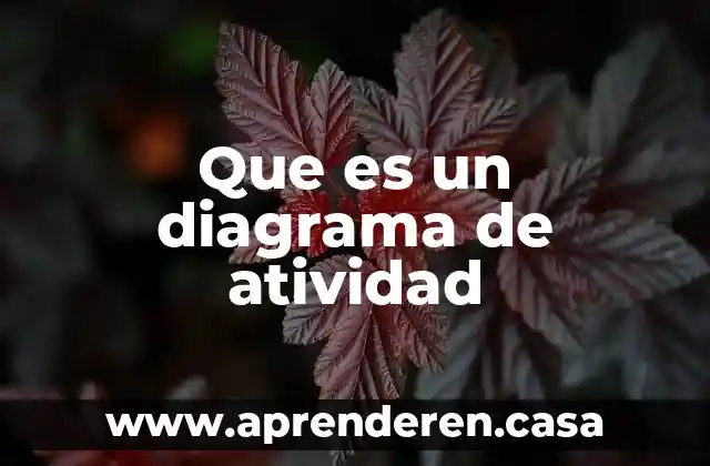 Que es un diagrama de atividad