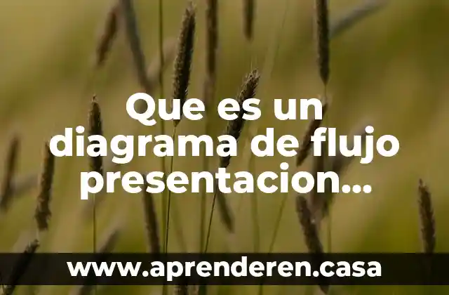 Que es un diagrama de flujo presentacion power point