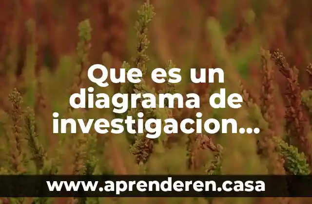 Que es un diagrama de investigacion cientifica