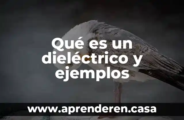 Que es heteroinjerto y ejemplos 3 Qué es un dieléctrico y ejemplos