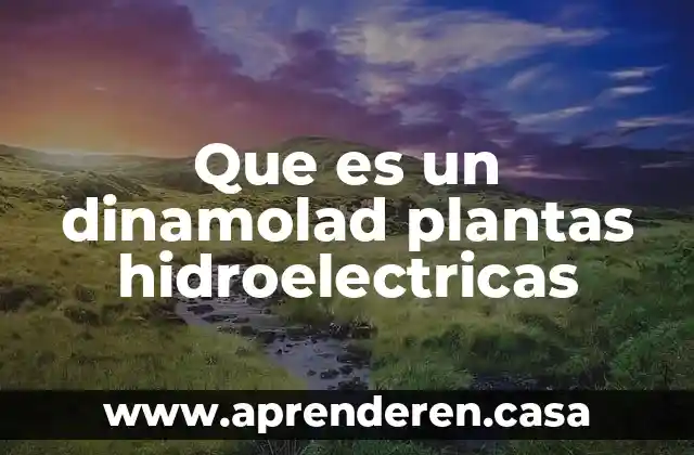 Que es un dinamolad plantas hidroelectricas