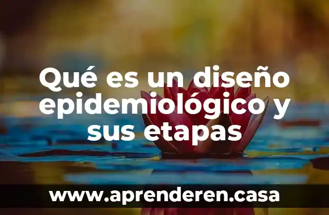 Qué es un diseño epidemiológico y sus etapas