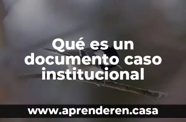 Qué es un documento caso institucional