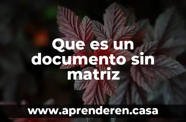 Que es un documento sin matriz