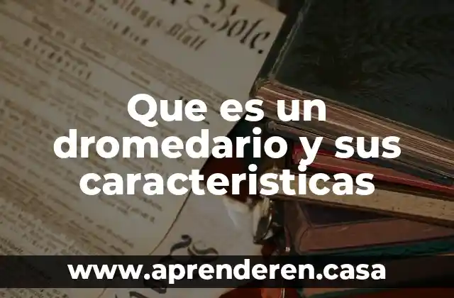 Que es la anti publicidad y sus caracteristicas 7 Que es un dromedario y sus caracteristicas