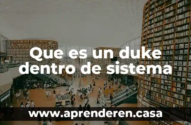 Que es un duke dentro de sistema