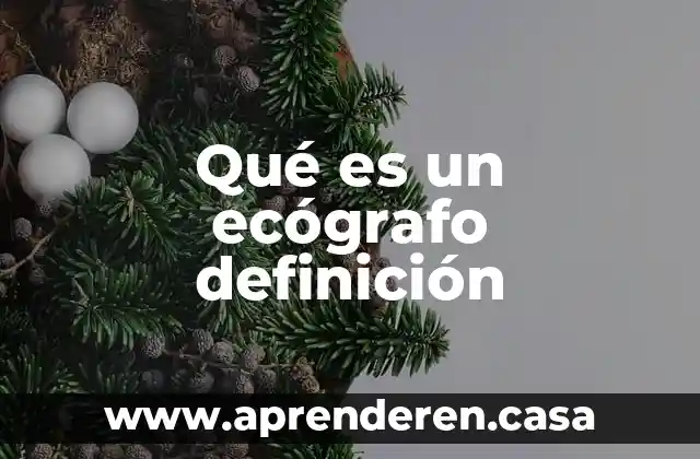 Qué es un ecógrafo definición