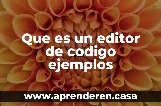 Que es un editor de codigo ejemplos