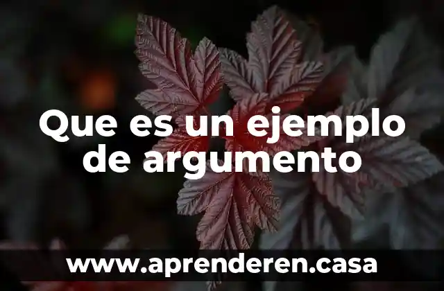 Que es un ejemplo de argumento