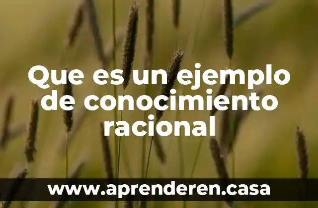 Que es un ejemplo de conocimiento racional