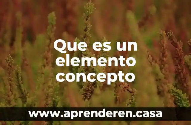 Que es un elemento concepto